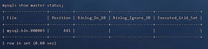 image-20230523153034661